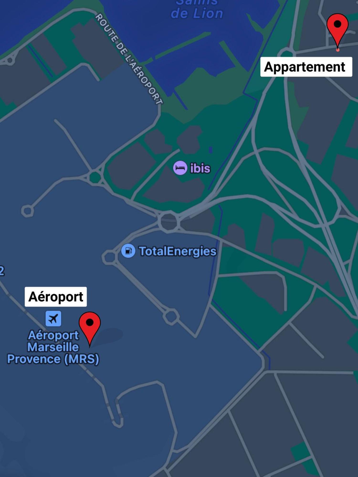 Superbe Appart Avec Jardin A 2 Min De L'Aeroport-4 Pers Βιτρόλ Εξωτερικό φωτογραφία